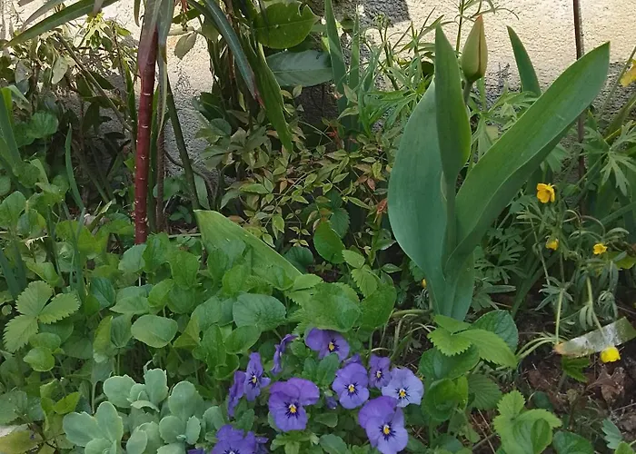 Casa Di Stella Sabbio Chiese